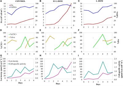 Changes in Activity and Community Composition Shape Bacterial Responses to Size-Fractionated Marine DOM